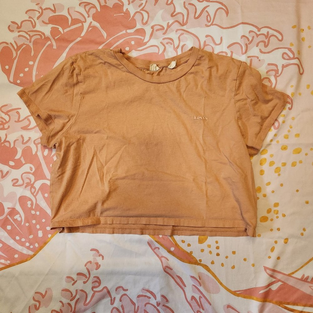 Levi's crop top